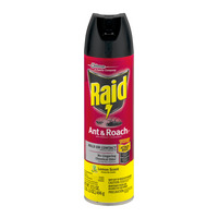 Raid Bug Spray: A Necessary Spray In Our Insect Filled Lives!