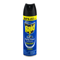 Raid Bug Spray: A Necessary Spray In Our Insect Filled Lives!