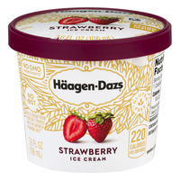 Haagen Dazs Ice Cream; A Delicious Frozen Treat!